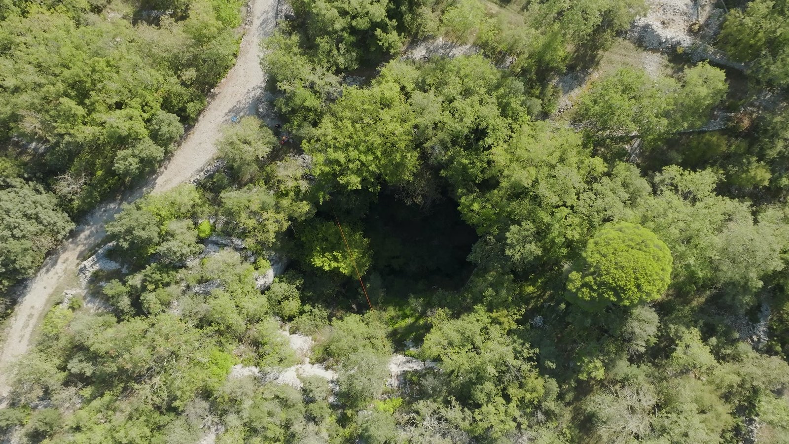 La forêt autour du gouffre